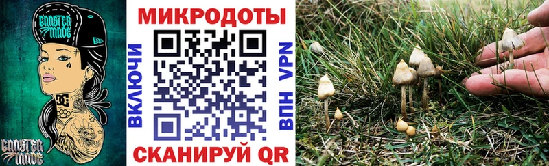 как найти закладки  Ялта  Псилоцибиновые грибы мухоморы 
